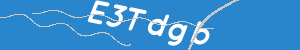 Introduïu el text que apareix a la imatge