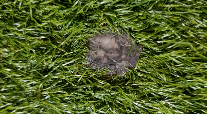 Comunicación Importante