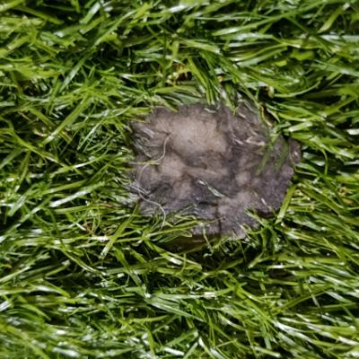 Comunicación Importante